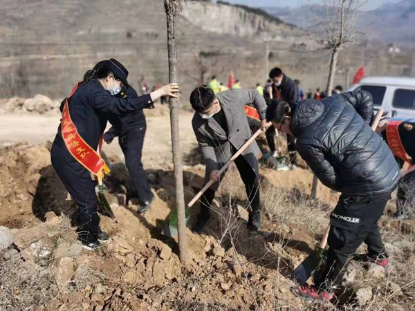 植樹(shù)添新綠，不負(fù)好春光！山東三箭集團(tuán)開(kāi)展義務(wù)植樹(shù)活動(dòng)